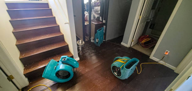 Best Water damage restoration specialists  in Horse Pasture, VA