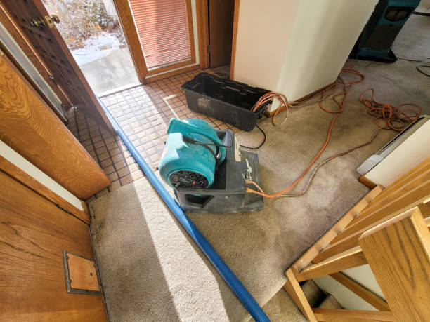 Best Water damage restoration company  in Horse Pasture, VA