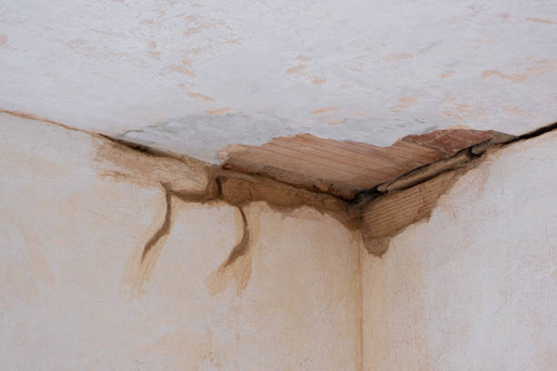 Trusted Horse Pasture, VA Water damage restoration Experts