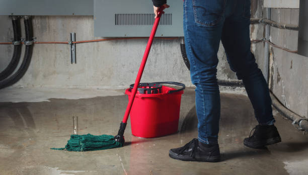 Best Flood restoration services  in Horse Pasture, VA