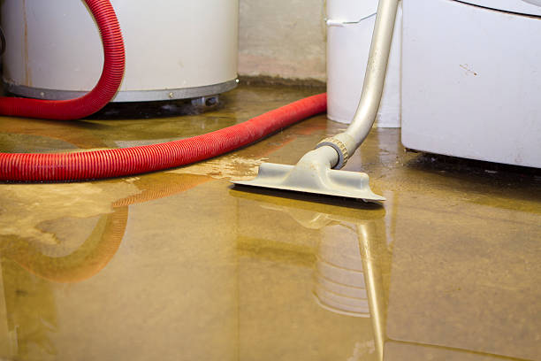 Best Commercial water damage restoration  in Horse Pasture, VA
