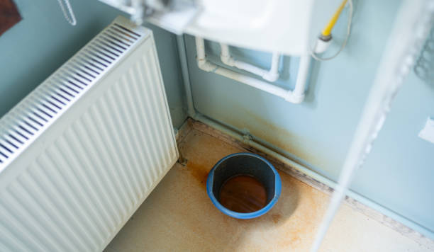 Best Basement water damage restoration  in Horse Pasture, VA