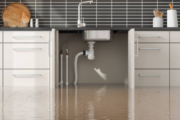 Best Carpet water damage restoration  in Horse Pasture, VA