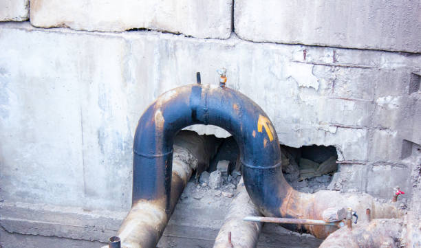 Best Local water damage restoration  in Horse Pasture, VA