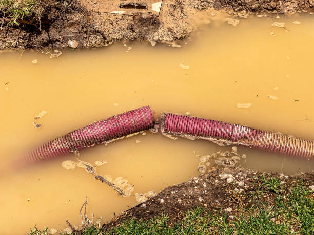 Best Professional water damage repair  in Horse Pasture, VA